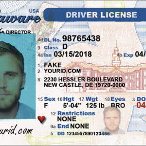 Delaware Drivers License