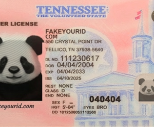 Tennessee  Fake ID