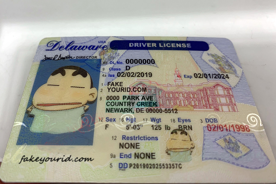 Delaware Drivers License - Image 3