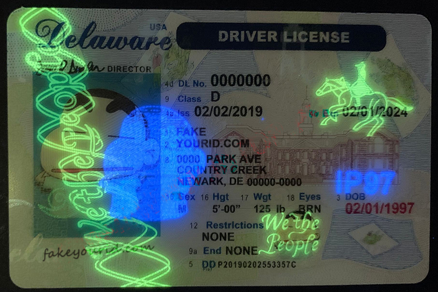Delaware Drivers License - Image 2