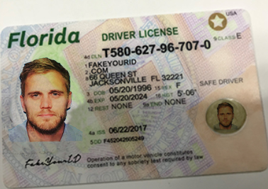 Florida Drivers License