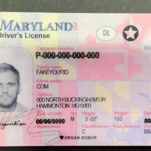 Maryland Fake ID