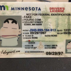 Minnesota Fake ID