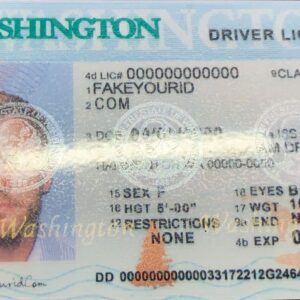 Washington Fake ID